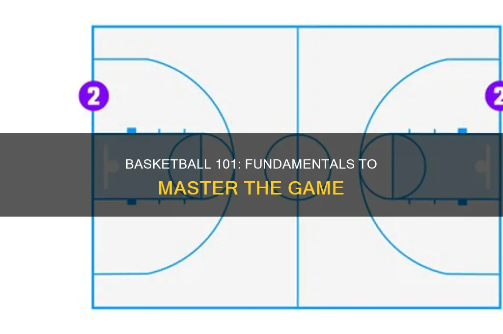 what do you need to know about basketball