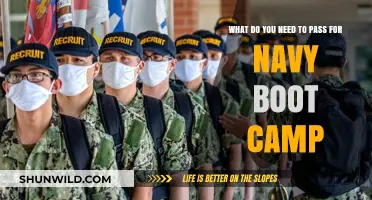 Essential Requirements to Successfully Pass Navy Boot Camp Training