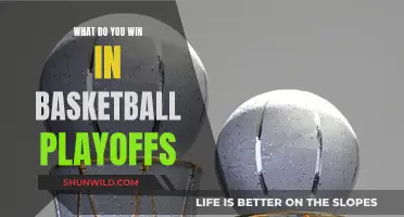 Glory, Prestige, and Playoff Prizes: Basketball's Ultimate Rewards