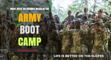 Understanding the Significance of 40 Rounds in Army Boot Camp Training