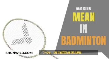 Understanding the Intricacies of 5U in Badminton