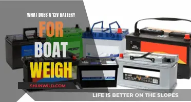 How Heavy Are 12V Boat Batteries?