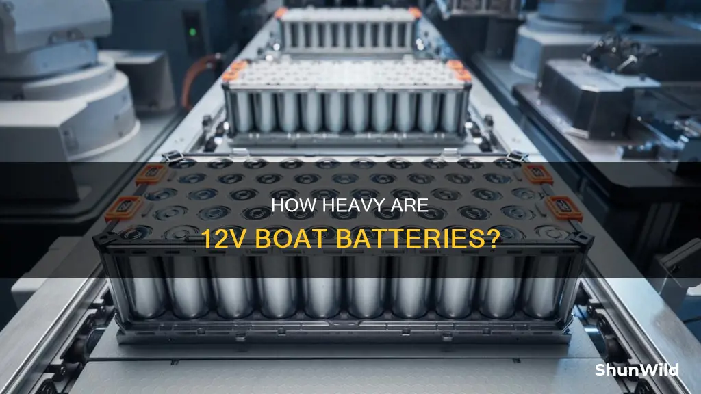 what does a 12v battery for boat weigh