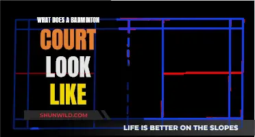 Badminton Court Layout: Dimensions and Design