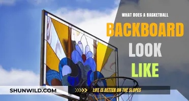Backboards: The Ultimate Guide to Basketball's Forgotten Essential