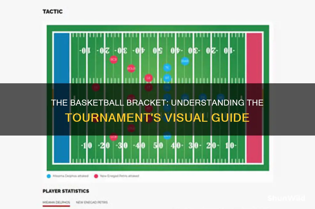 what does a basketball bracket look like