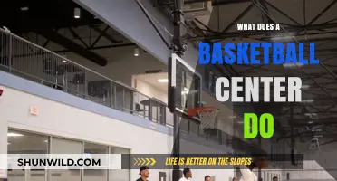 Centers: Basketball's Key Playmakers