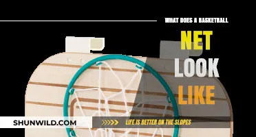 The Evolution of Basketball Nets: A Visual Guide