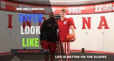 Basketball Scholarships: What Does the Offer Look Like?