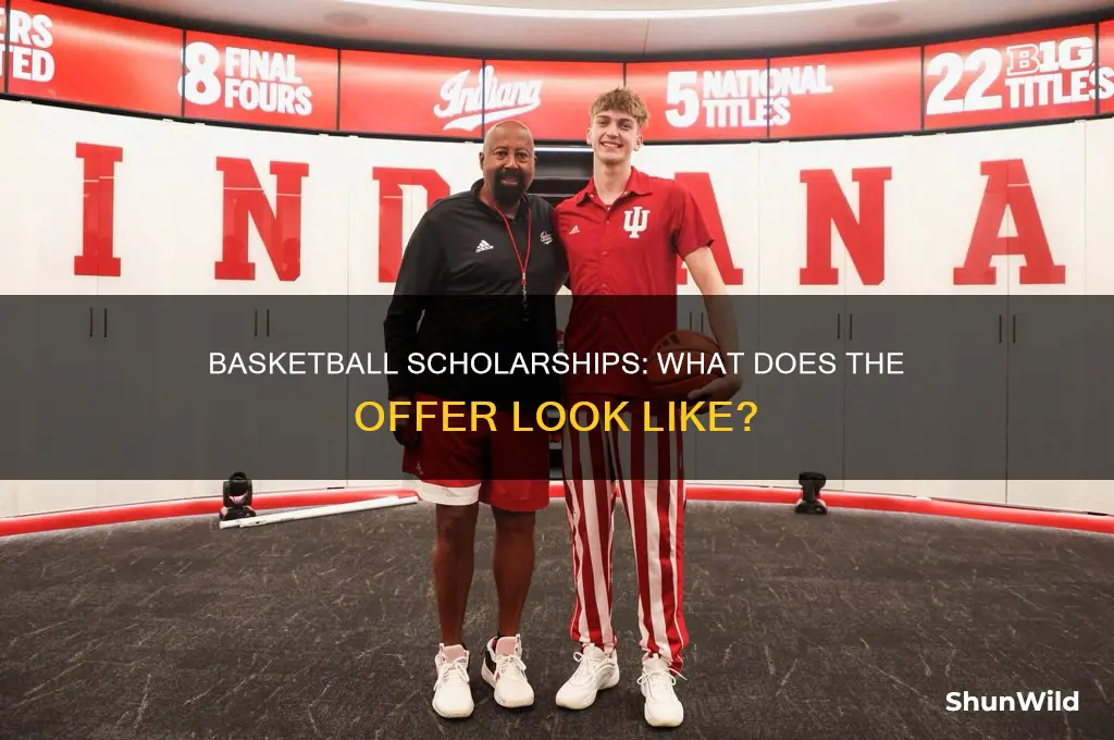 what does a basketball offer look like