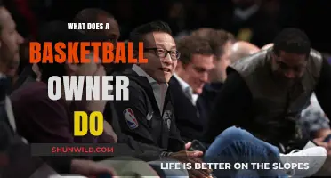 The Role of a Basketball Team Owner