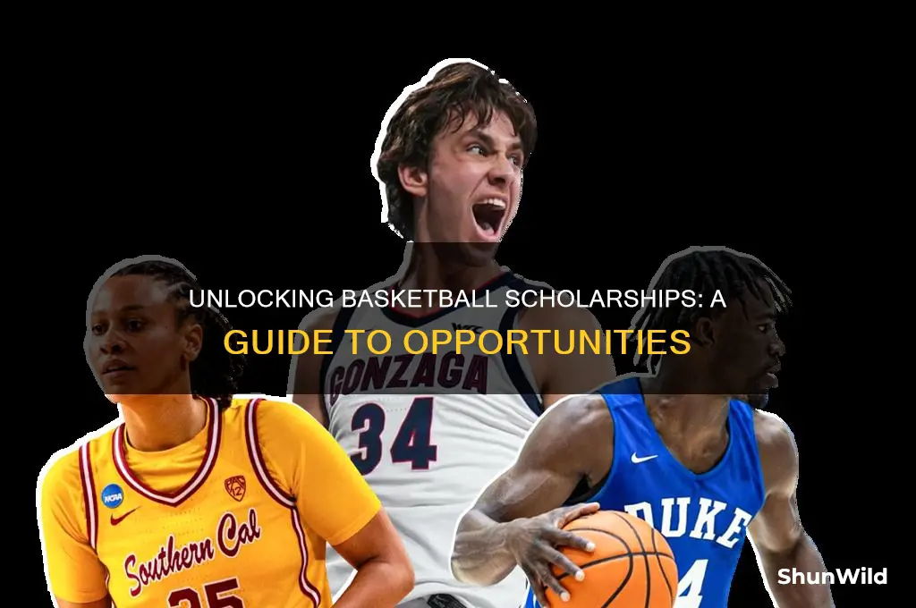 what does a basketball scholarship look like