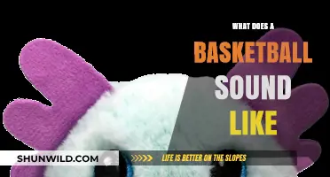 The Unique Sounds of Basketball