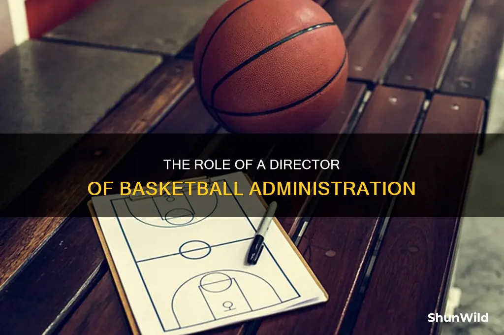 what does a director of basketball administration do