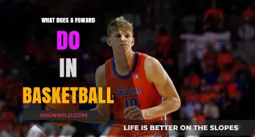 The Dynamic Role of Forwards in Basketball