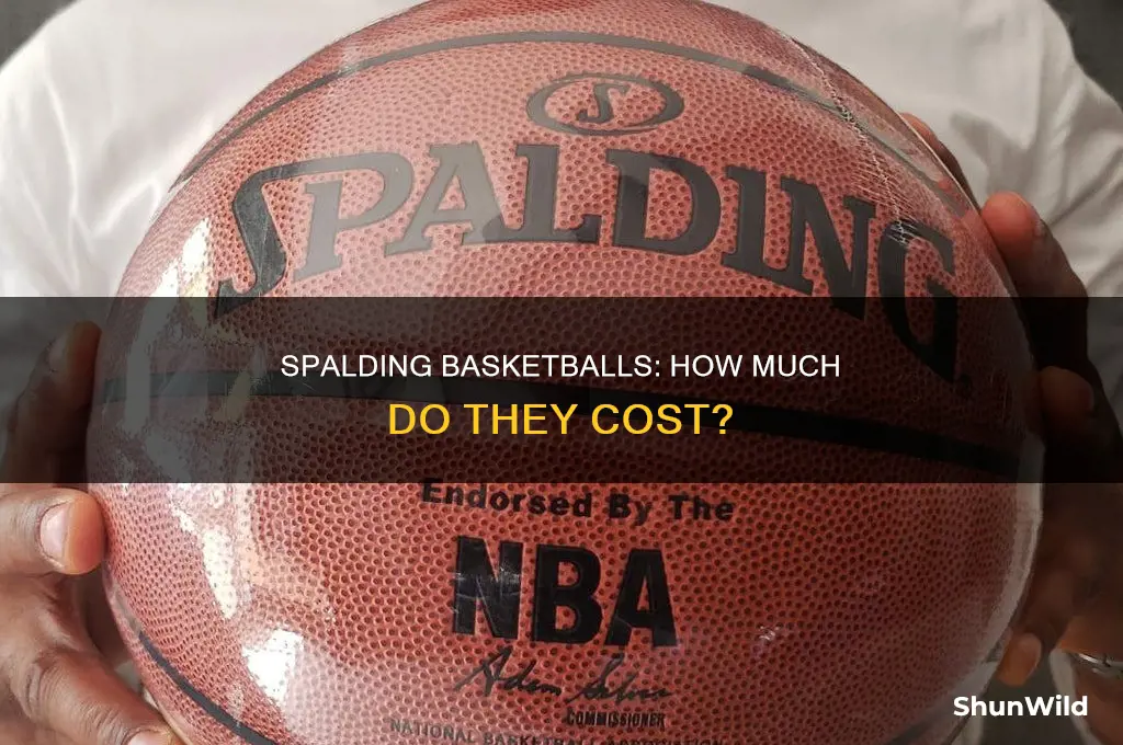 what does a new spalding basketball cost