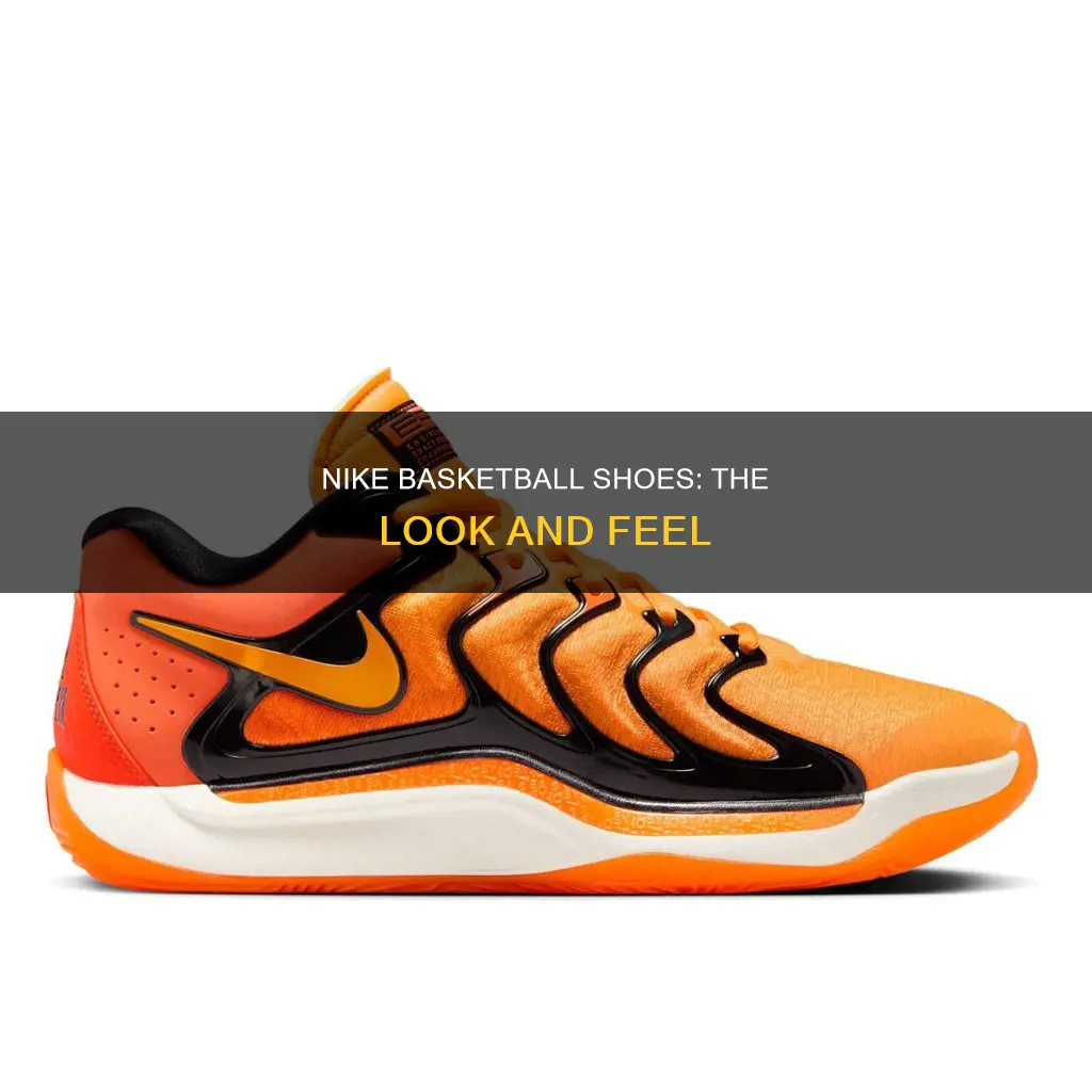 what does a nike basketball shoe look like