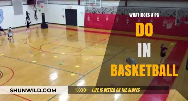 The Playmaker: Understanding the PG's Role in Basketball