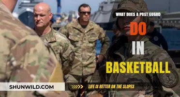 Understanding the Role of a Post Guard in Basketball