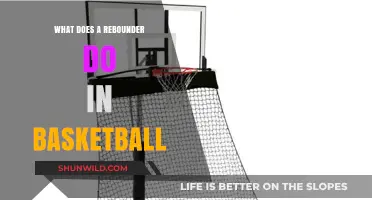 Rebounders: Basketball's Unsung Heroes