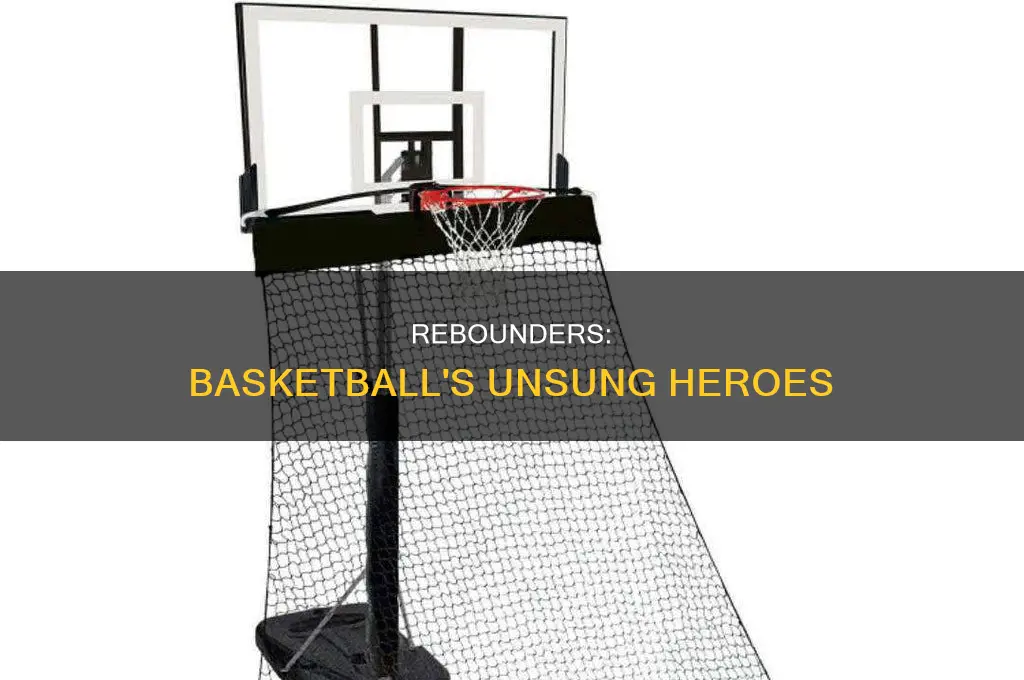 what does a rebounder do in basketball