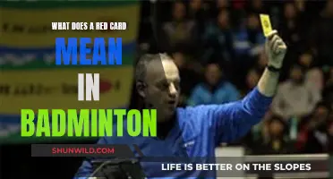 Understanding Badminton's Red Card Rule
