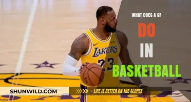 Small Forwards: The Basketball Team's Versatile Stars