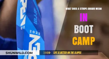 Understanding the Significance of a Stripe Award in Boot Camp