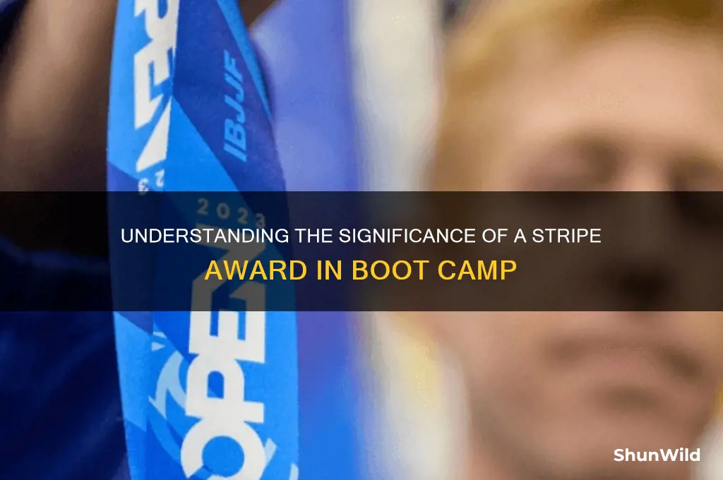what does a stripe award mean in boot camp