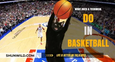 Technical Roles: Basketball's Unsung Heroes