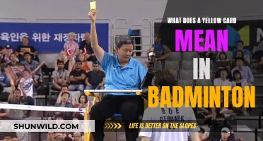 Yellow Card System: Badminton's Disciplinary Code