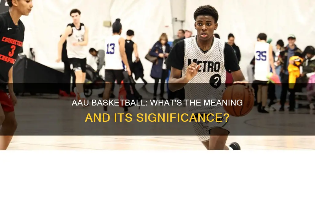 what does aau stand for in terms of basketball