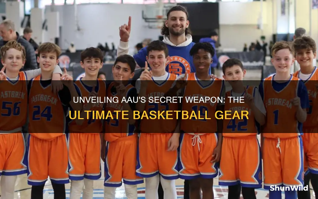 what does aau use for basketball