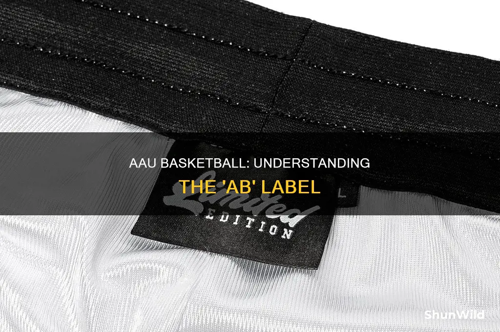 what does ab meab in aau basketball