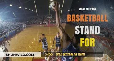 Exploring the Meaning of ABA Basketball
