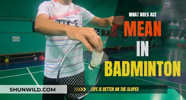 Understanding the Ace: A Powerful Badminton Strategy
