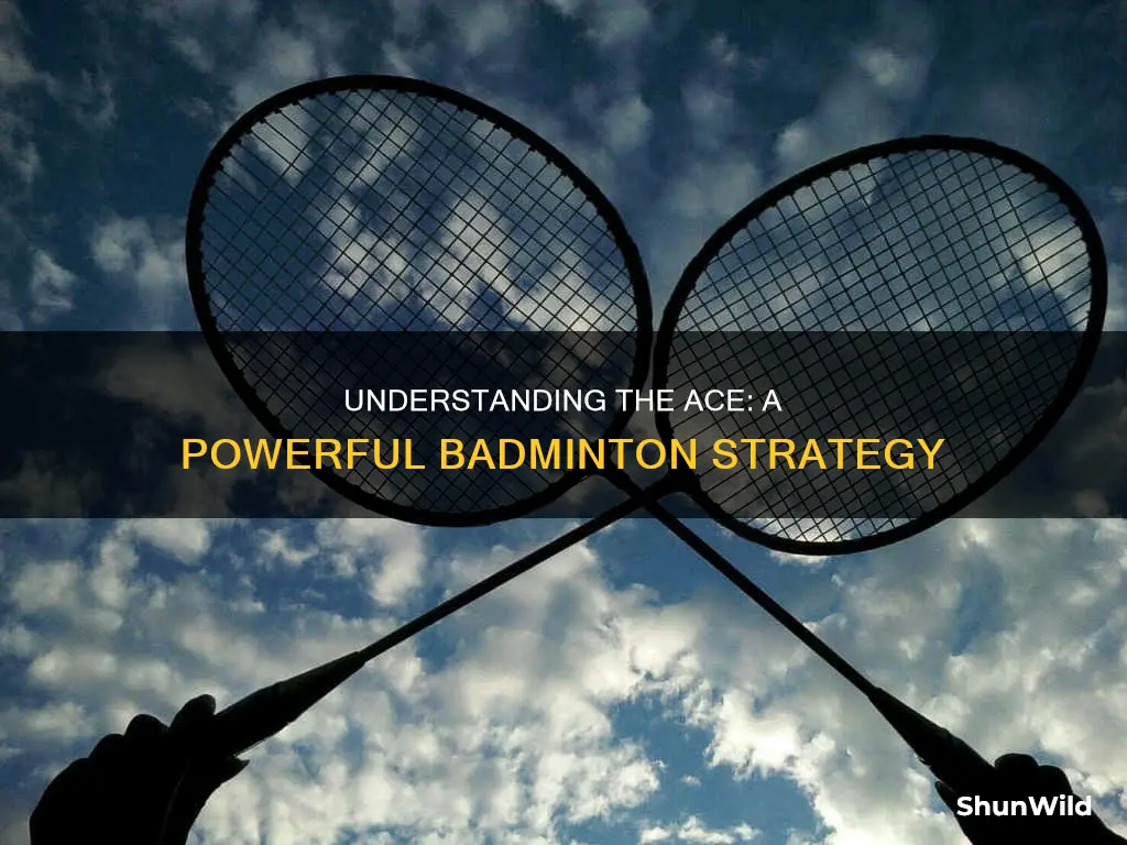 what does ace mean in badminton