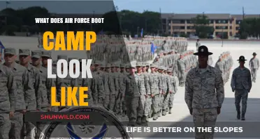 Inside Air Force Boot Camp: A Day-to-Day Training Overview