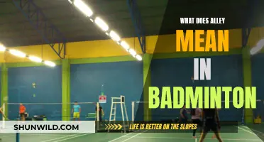 Badminton Alley: Understanding Court Spaces