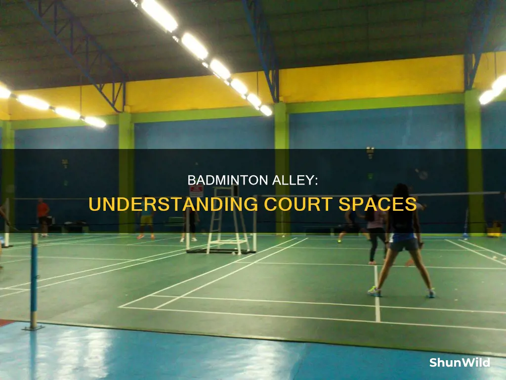 what does alley mean in badminton