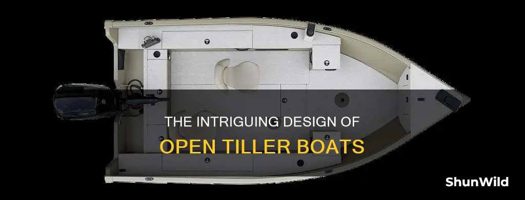 what does an open tiller boat look like