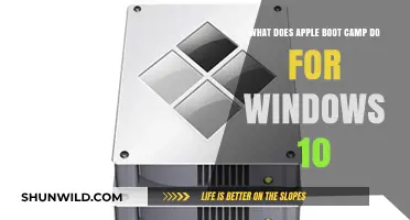 Apple Boot Camp: Seamlessly Running Windows 10 on Your Mac Explained