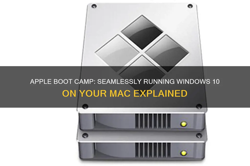 what does apple boot camp do for windows 10