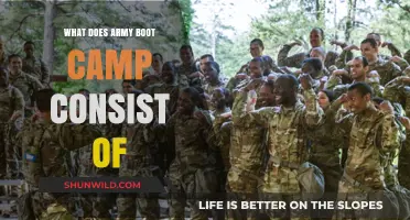 Unveiling Army Boot Camp: Rigorous Training, Discipline, and Transformation Explained