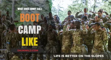 Unveiling the Army's Boot Camp Experience: What to Expect
