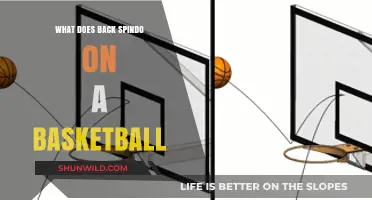 Backspin Basketball: The Science of Spin and Control