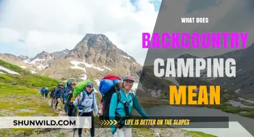 Exploring the Wild: Understanding the Essence of Backcountry Camping