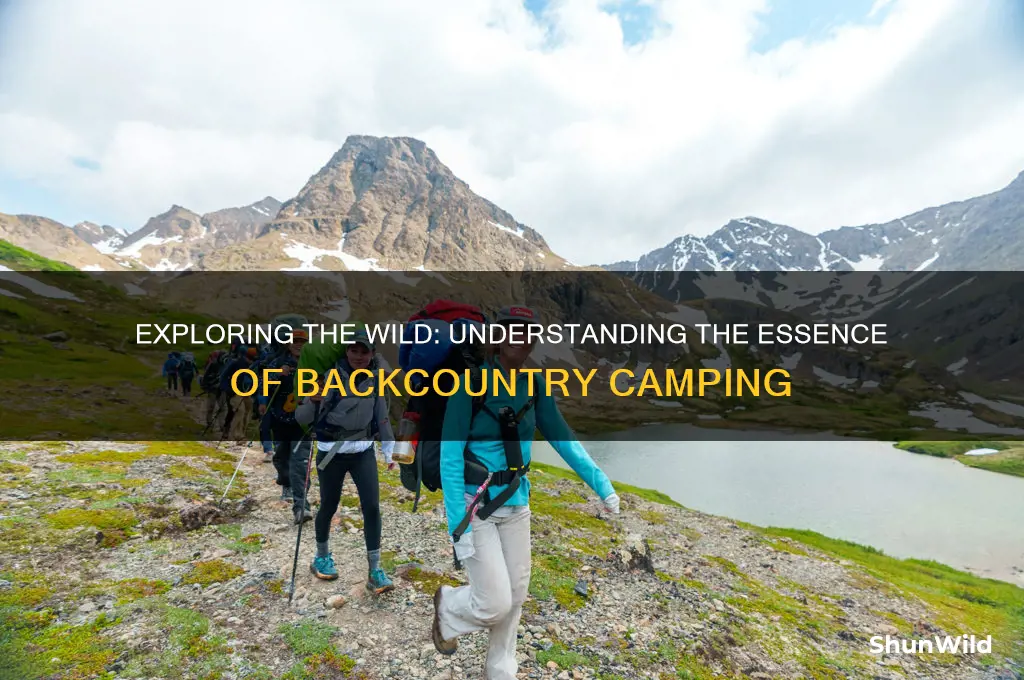 what does backcountry camping mean