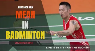 Understanding Balk Rules in Badminton