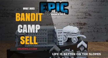 Discover Bandit Camp's Unique Items and Services for Sale